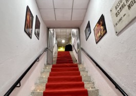 Malmequeres da Noêda