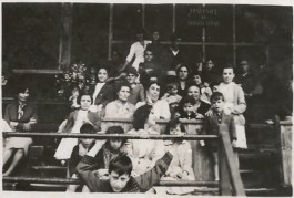 Malmequeres da Noêda