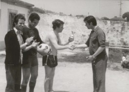 Malmequeres da Noêda