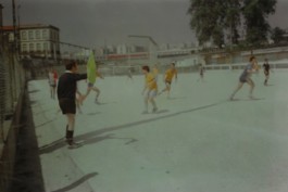 Malmequeres da Noêda