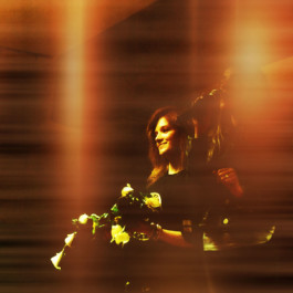 Malmequeres da Noêda