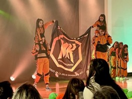 Malmequeres da Noêda