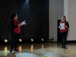 Malmequeres da Noêda