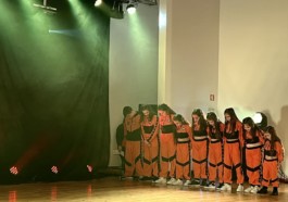 Malmequeres da Noêda