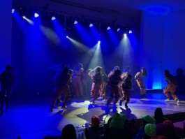 Malmequeres da Noêda