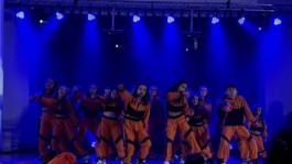 Malmequeres da Noêda