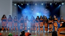 Malmequeres da Noêda