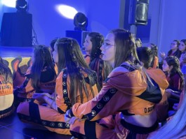 Malmequeres da Noêda