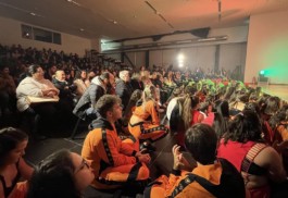 Malmequeres da Noêda