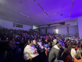 Malmequeres da Noêda