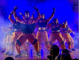 Malmequeres da Noêda