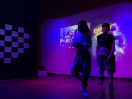 Malmequeres da Noêda