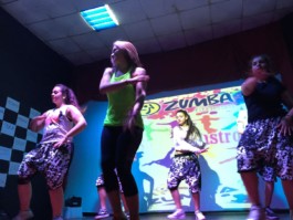 Malmequeres da Noêda