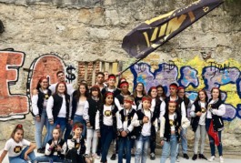 Malmequeres da Noêda