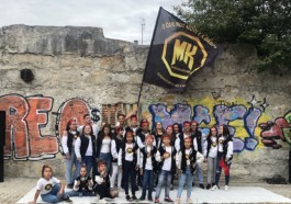 Malmequeres da Noêda