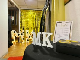 Malmequeres da Noêda