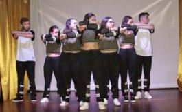 Malmequeres da Noêda