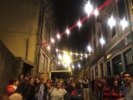 Malmequeres da Noêda