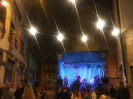 Malmequeres da Noêda