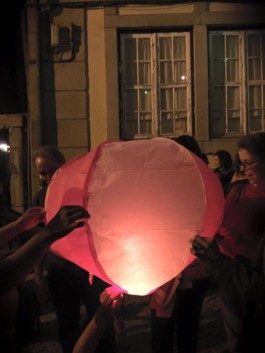 Malmequeres da Noêda