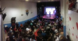 Malmequeres da Noêda