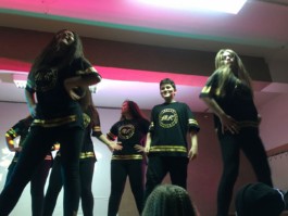 Malmequeres da Noêda