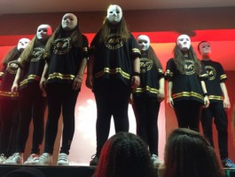 Malmequeres da Noêda