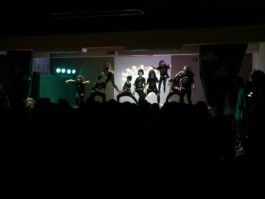 Malmequeres da Noêda