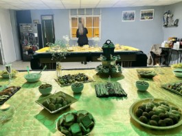 Malmequeres da Noêda