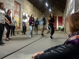 Malmequeres da Noêda