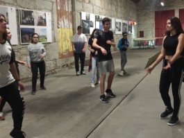 Malmequeres da Noêda