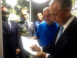 Malmequeres da Noêda