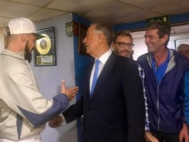 Malmequeres da Noêda