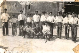 Malmequeres da Noêda