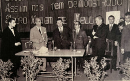 Malmequeres da Noêda