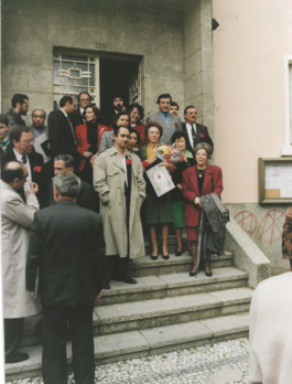 Malmequeres da Noêda