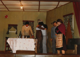 Malmequeres da Noêda