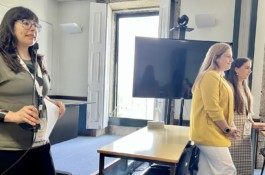 Malmequeres da Noêda