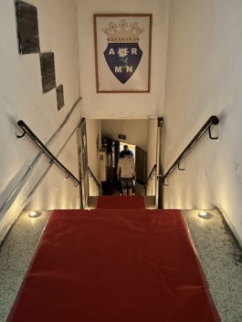 Malmequeres da Noêda