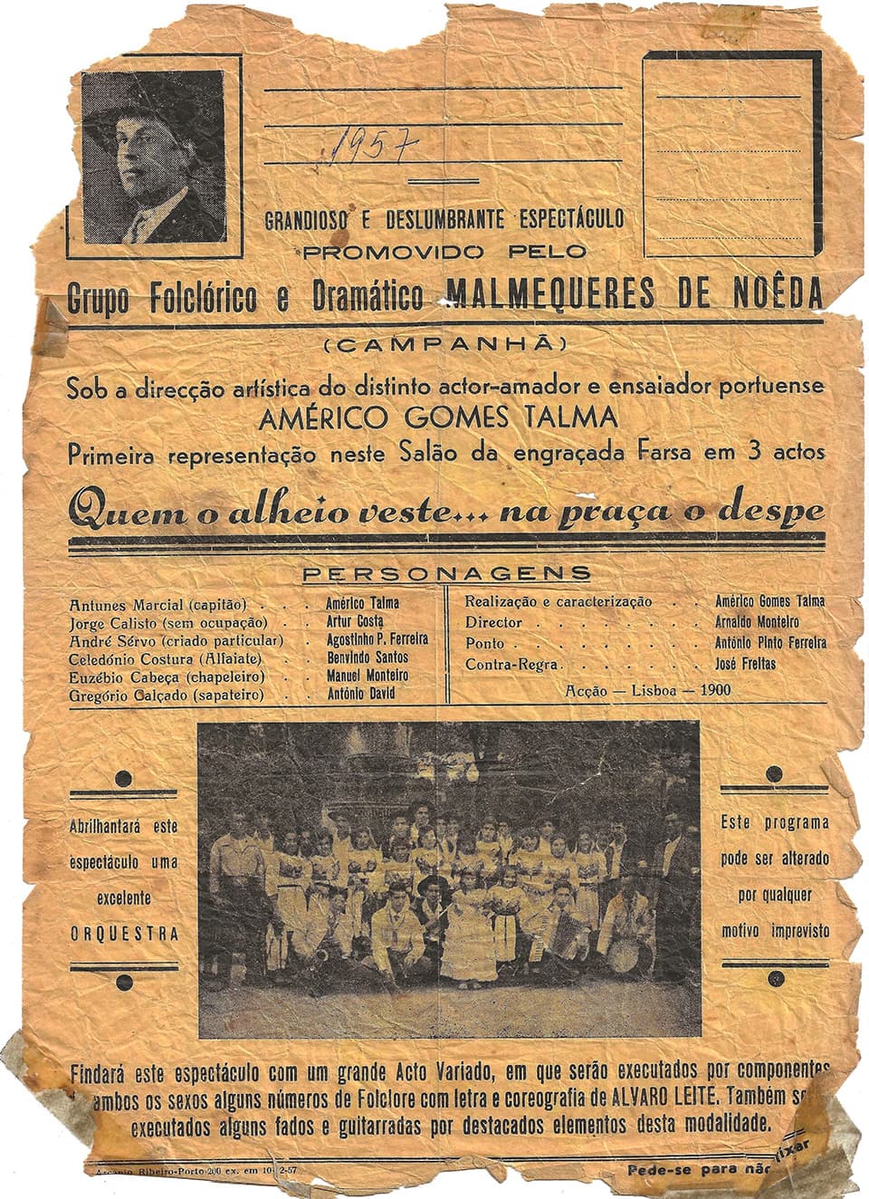 Malmequeres da Noêda