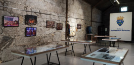 Malmequeres da Noêda