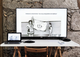 Malmequeres da Noêda